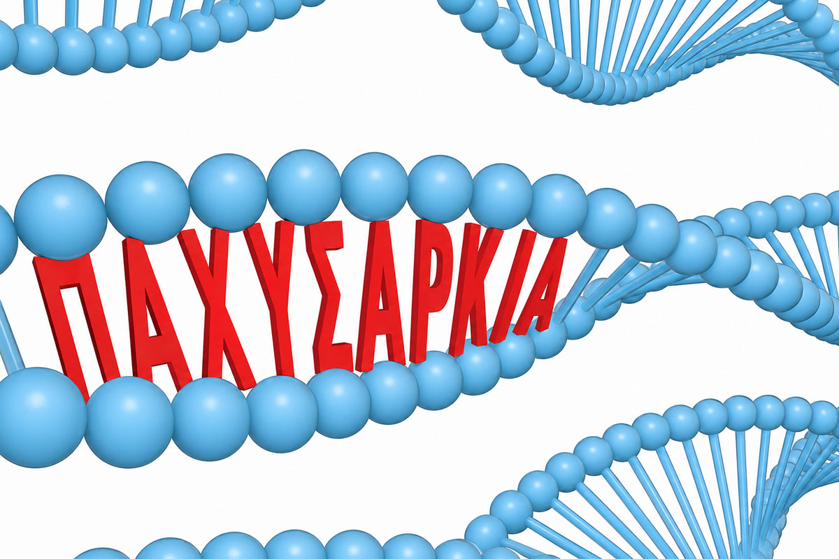 obesity_dna_header_web.jpg